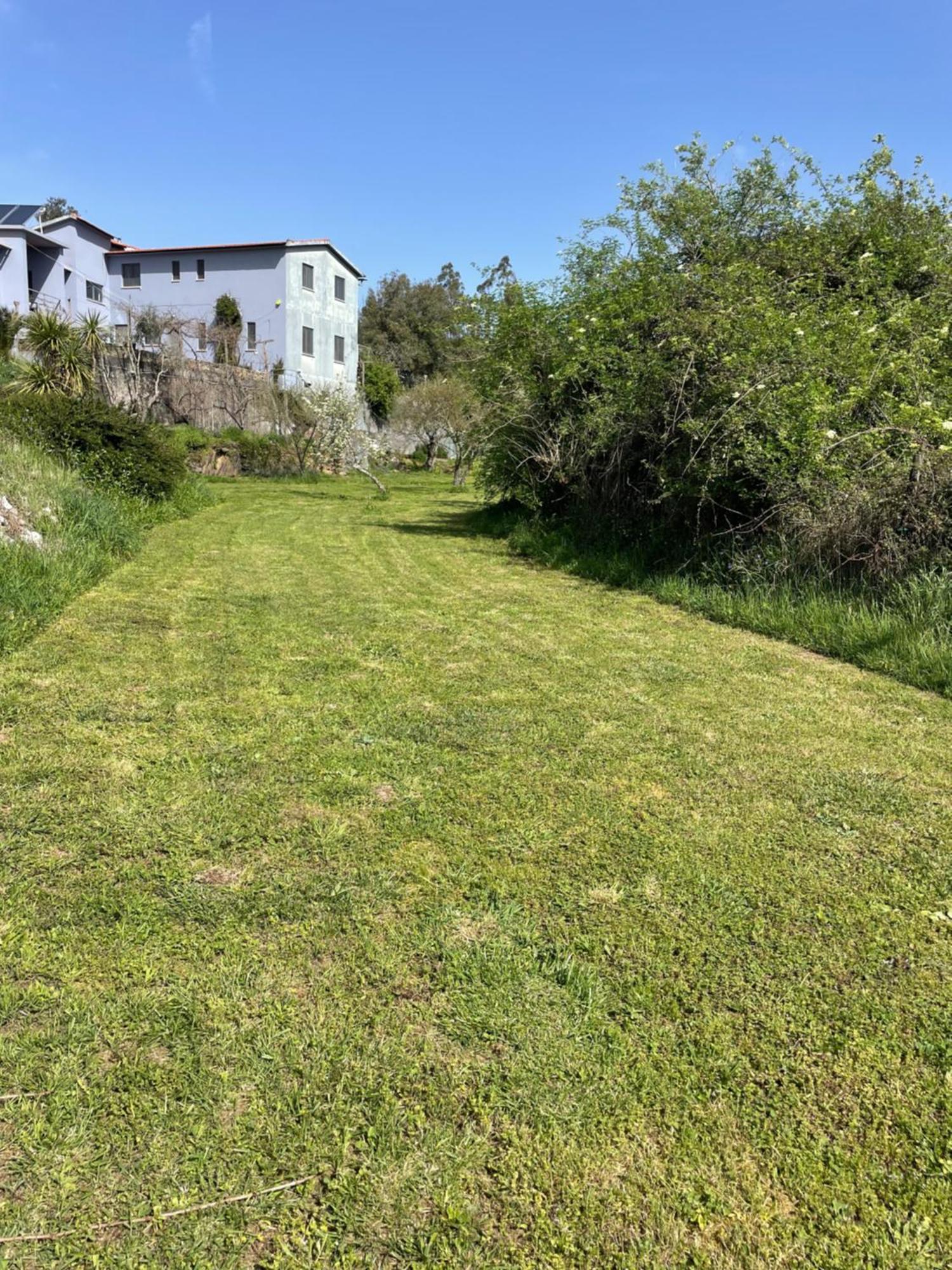 Quinta Do Eco Appartement Vila de Rei Buitenkant foto