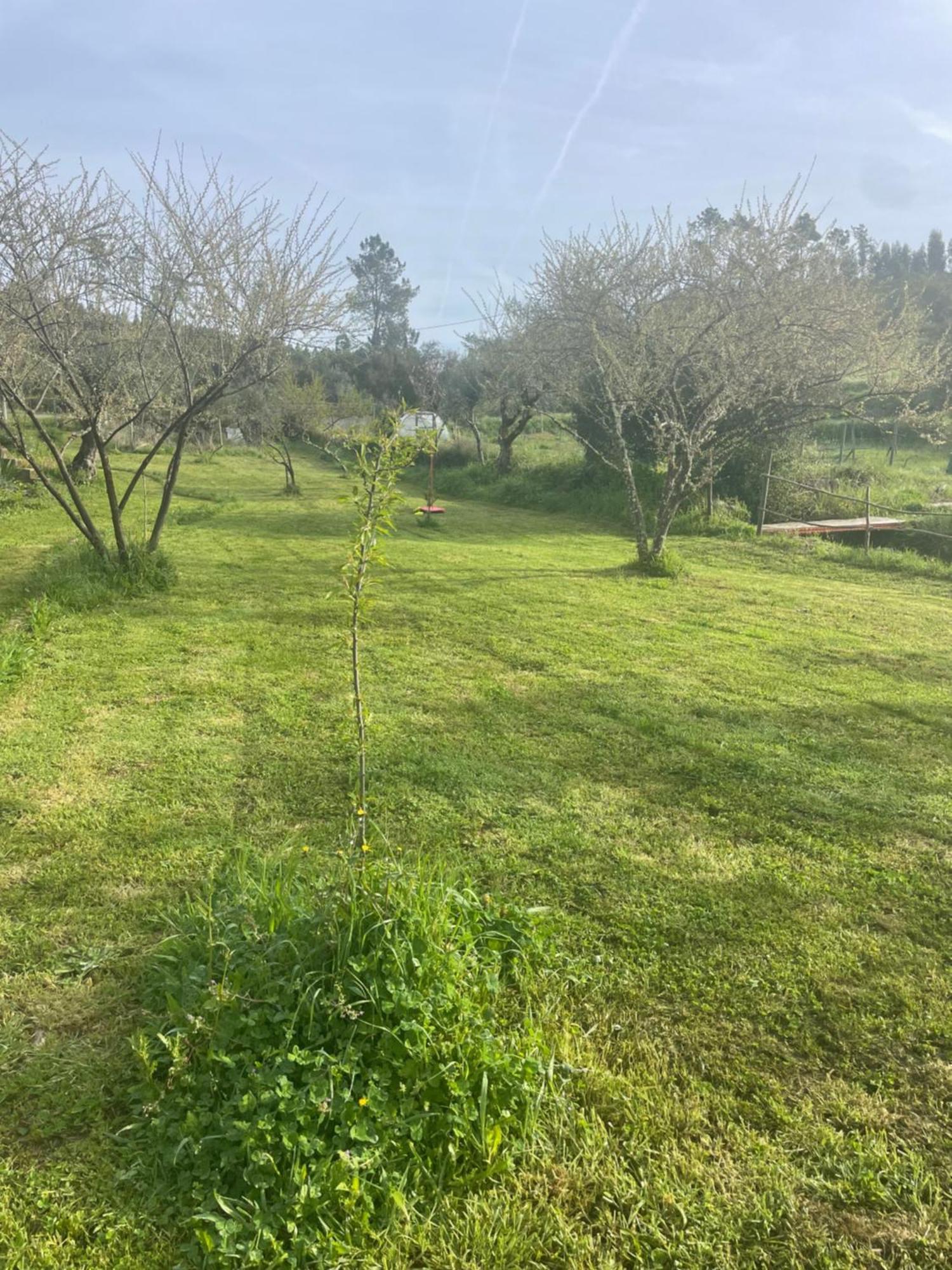 Quinta Do Eco Appartement Vila de Rei Buitenkant foto